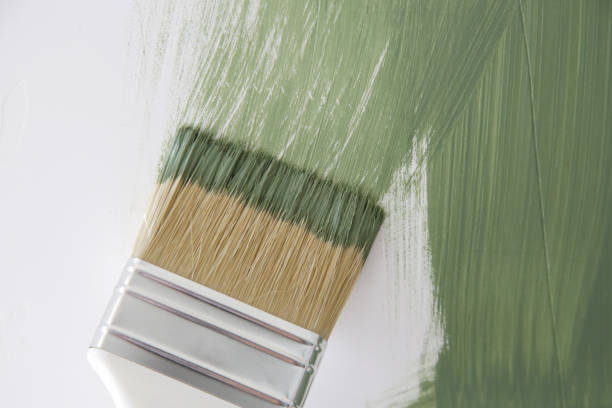 Best Real Estate Mold Inspection  in Fairfield, IL