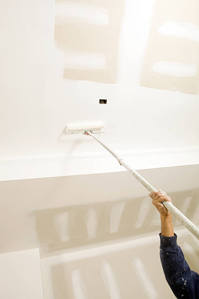 Best Post-Construction Mold Inspection  in Fairfield, IL