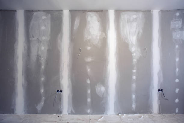 Best Mold Documentation for Insurance Claims  in Fairfield, IL